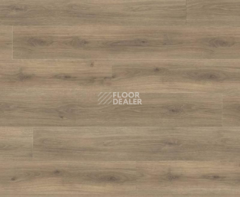 Ламинат Haro Tritty 100 Gran Via 4V ДУБ ЭМИЛИЯ БАРХАТ КОРИЧНЕВЫЙ 538771 фото 1 | FLOORDEALER